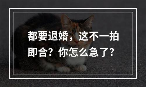 都要退婚，这不一拍即合？你怎么急了？