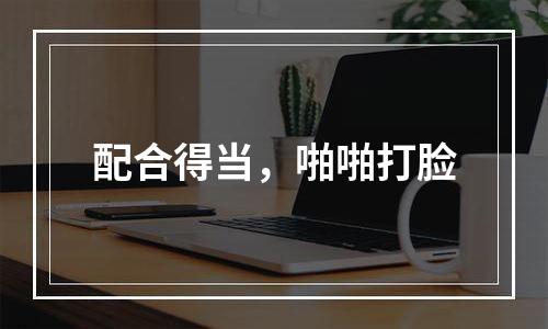配合得当，啪啪打脸