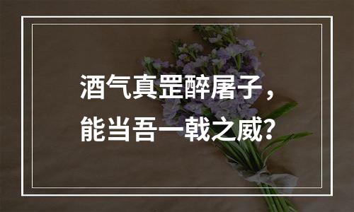 酒气真罡醉屠子，能当吾一戟之威？