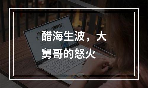 醋海生波，大舅哥的怒火