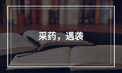 采药，遇袭