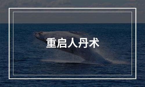 重启人丹术