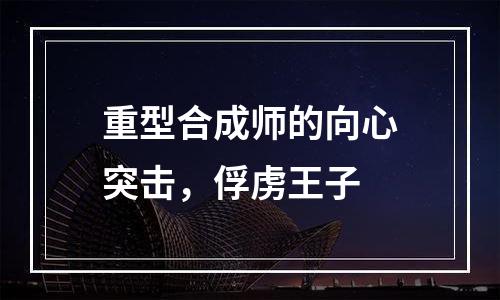 重型合成师的向心突击，俘虏王子