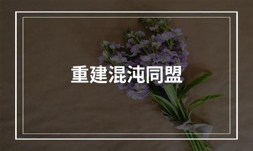 重建混沌同盟