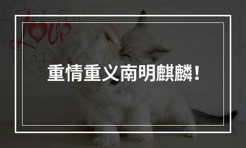 重情重义南明麒麟！
