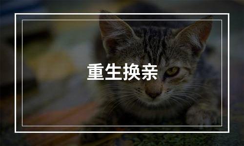 重生换亲