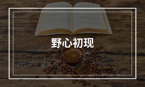 野心初现