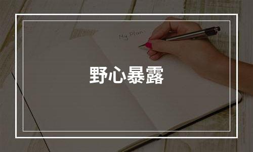 野心暴露