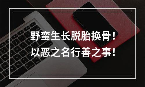 野蛮生长脱胎换骨！以恶之名行善之事！