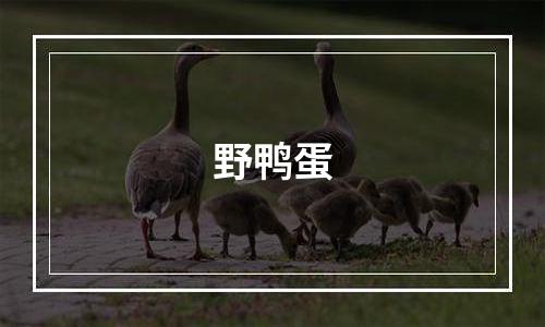 野鸭蛋
