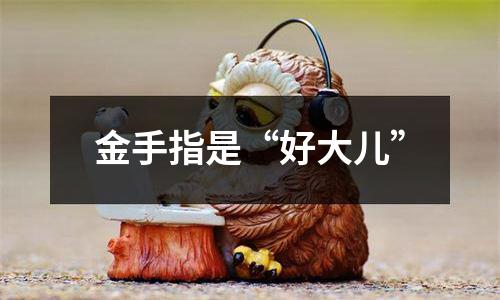 金手指是“好大儿”