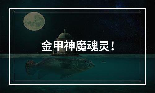金甲神魔魂灵！