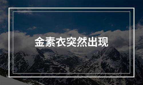 金素衣突然出现