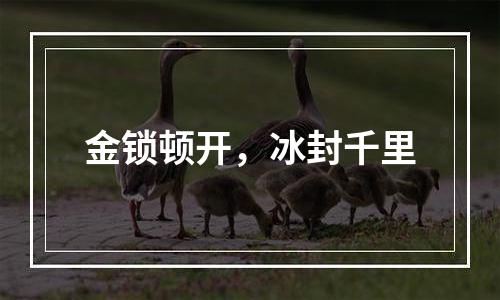 金锁顿开，冰封千里