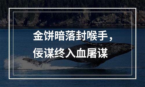 金饼暗落封喉手，佞谋终入血屠谋