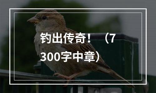 钓出传奇！（7300字中章）