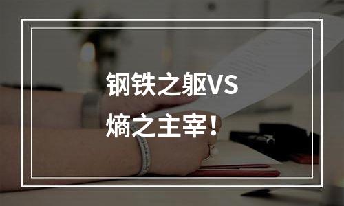 钢铁之躯VS熵之主宰！