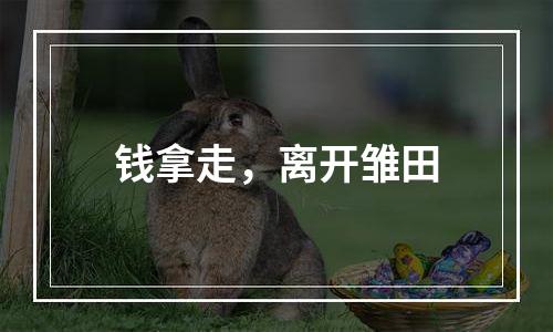 钱拿走，离开雏田
