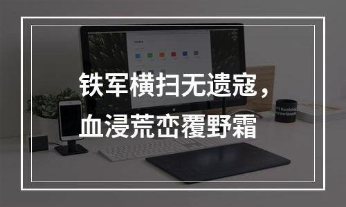 铁军横扫无遗寇，血浸荒峦覆野霜