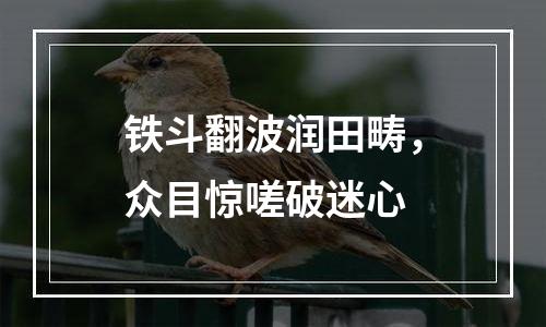 铁斗翻波润田畴，众目惊嗟破迷心