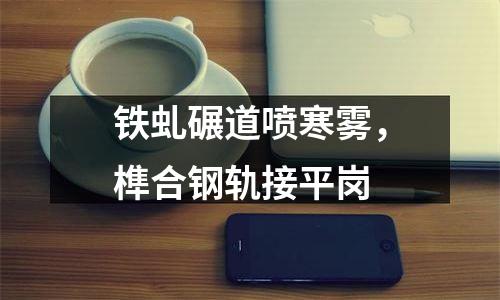 铁虬碾道喷寒雾，榫合钢轨接平岗