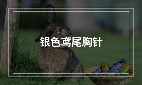 银色鸢尾胸针