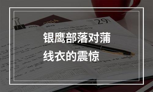 银鹰部落对蒲线衣的震惊