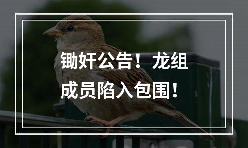 锄奸公告！龙组成员陷入包围！