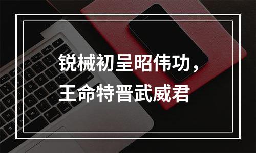 锐械初呈昭伟功，王命特晋武威君