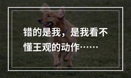 错的是我，是我看不懂王观的动作……