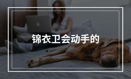 锦衣卫会动手的