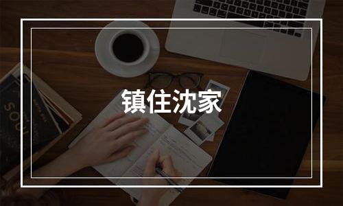 镇住沈家