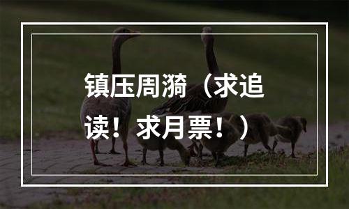 镇压周漪（求追读！求月票！）