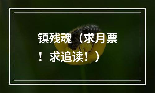 镇残魂（求月票！求追读！）