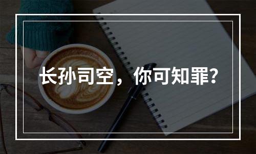 长孙司空，你可知罪？