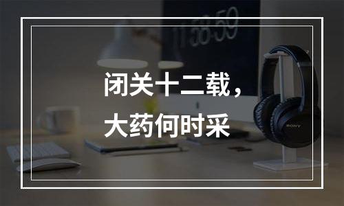 闭关十二载，大药何时采