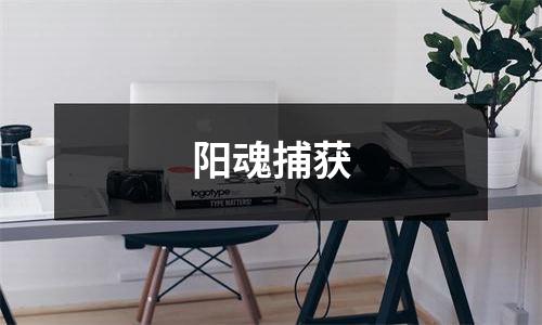 阳魂捕获