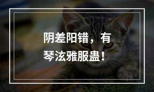 阴差阳错，有琴泫雅服蛊！