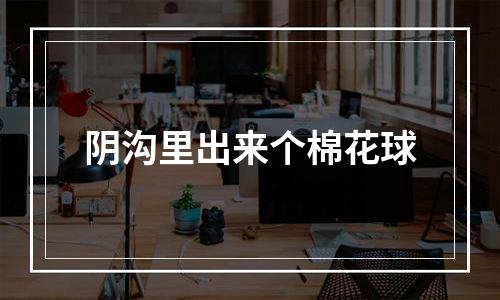 阴沟里出来个棉花球