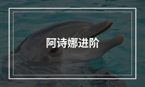 阿诗娜进阶