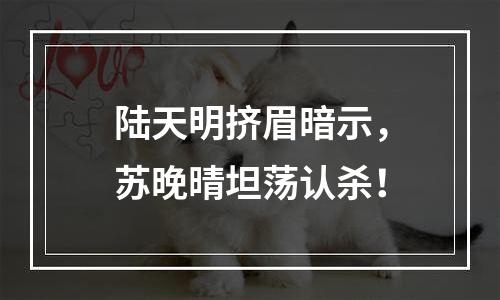 陆天明挤眉暗示，苏晚晴坦荡认杀！