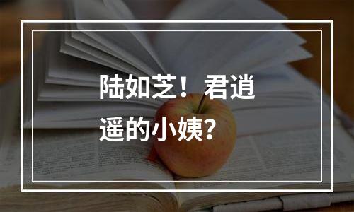 陆如芝！君逍遥的小姨？
