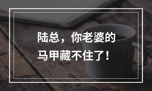 陆总，你老婆的马甲藏不住了！