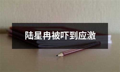 陆星冉被吓到应激