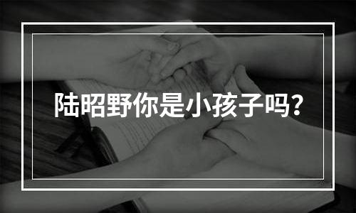陆昭野你是小孩子吗？