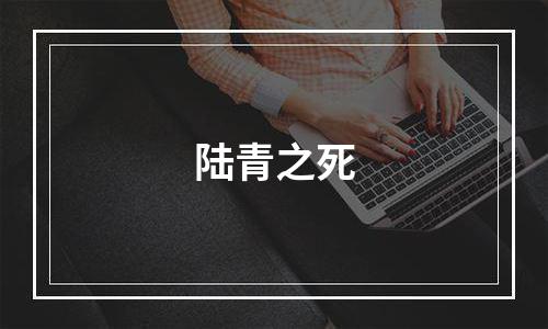 陆青之死