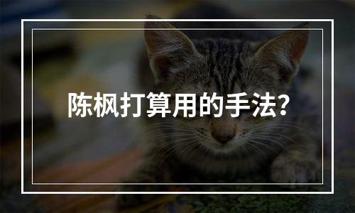 陈枫打算用的手法？