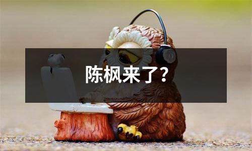 陈枫来了？