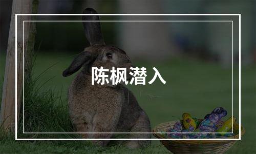 陈枫潜入