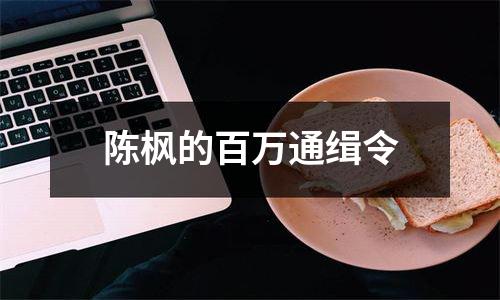 陈枫的百万通缉令